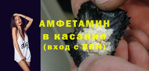 сатива Вяземский