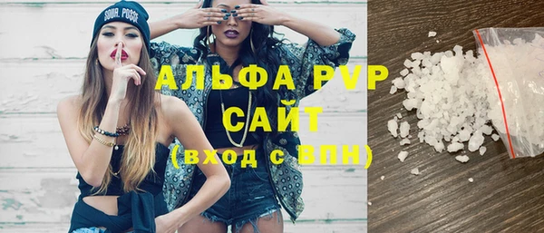 сатива Вяземский